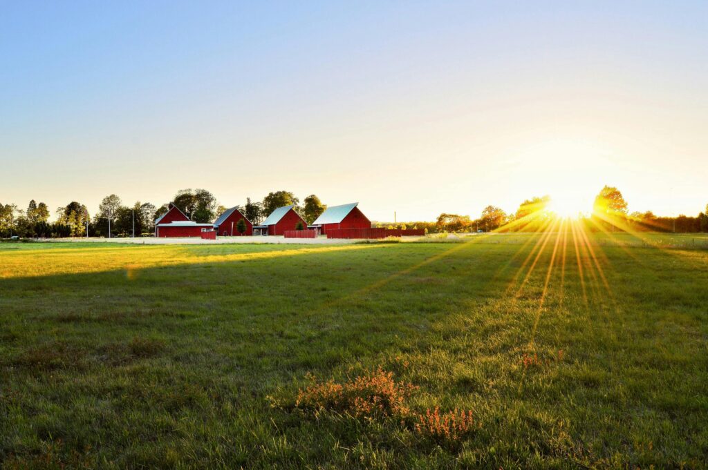 Home Beautiful sunrise illuminating a peaceful Kentucky farm with lush green pastures