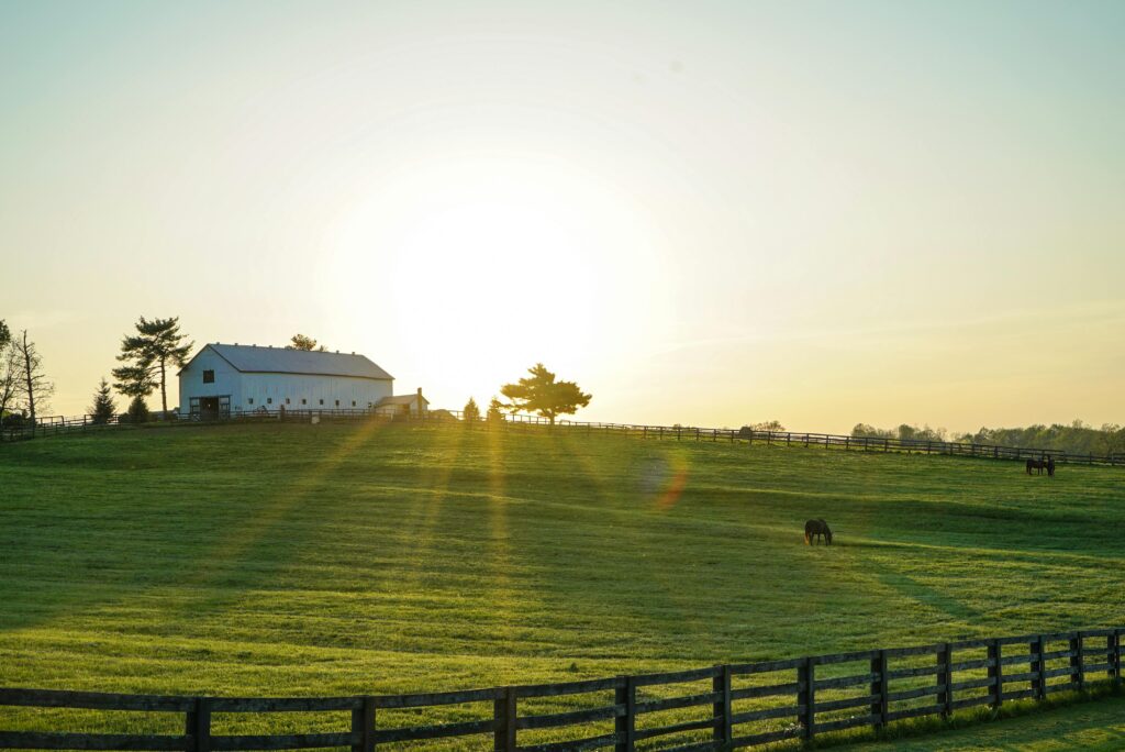 Home Beautiful sunrise illuminating a peaceful Kentucky farm with lush green pastures and grazing horses.
