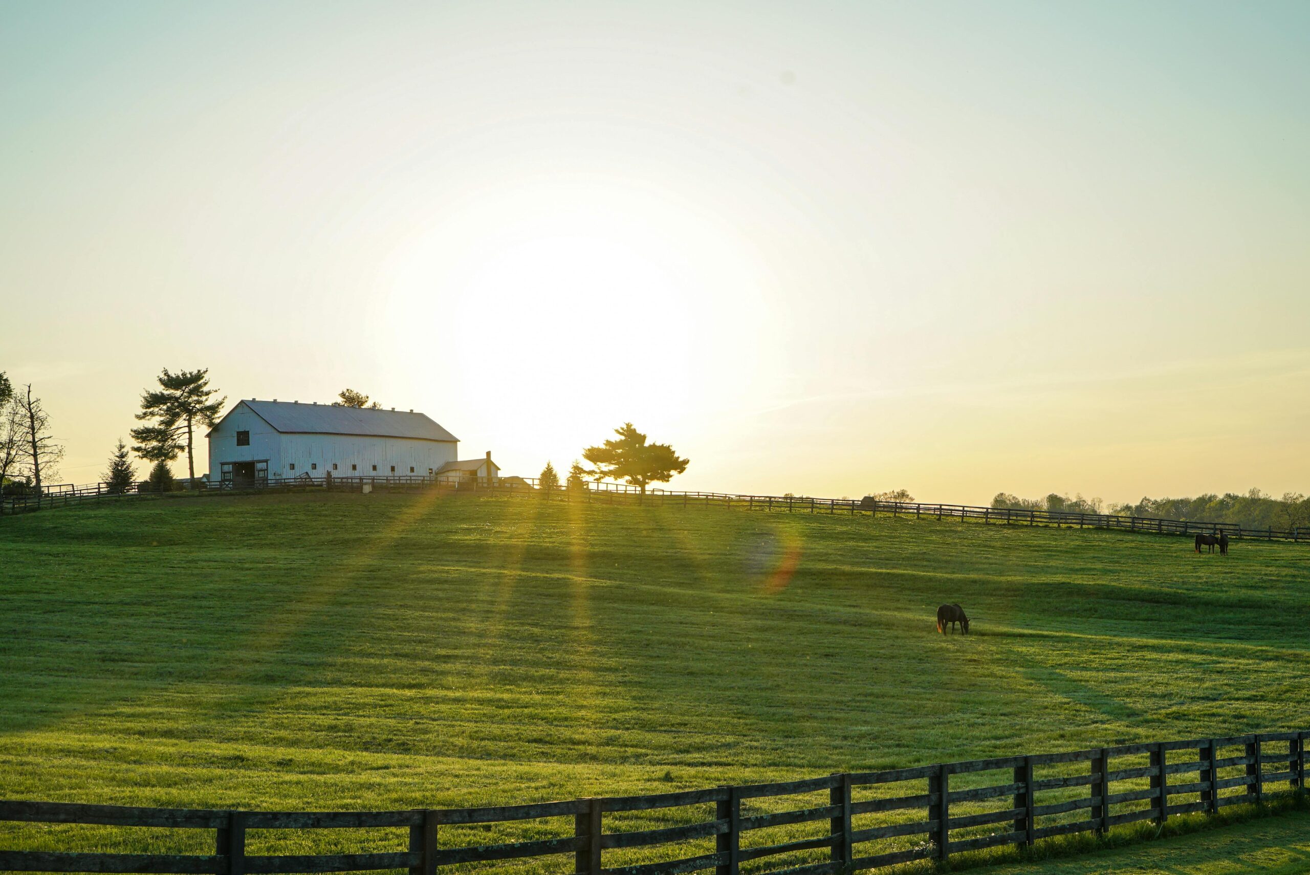 pexels-photo-2042161-2042161 Beautiful sunrise illuminating a peaceful Kentucky farm with lush green pastures and grazing horses.