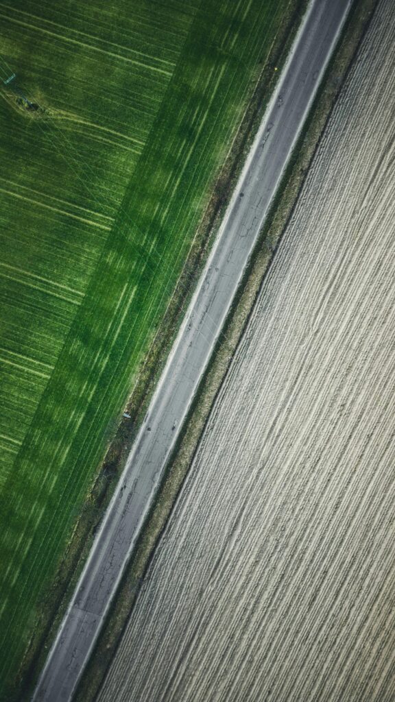 pexels photo 19730771 19730771 A vertical aerial view showing a rural road separating green and plowed fields.