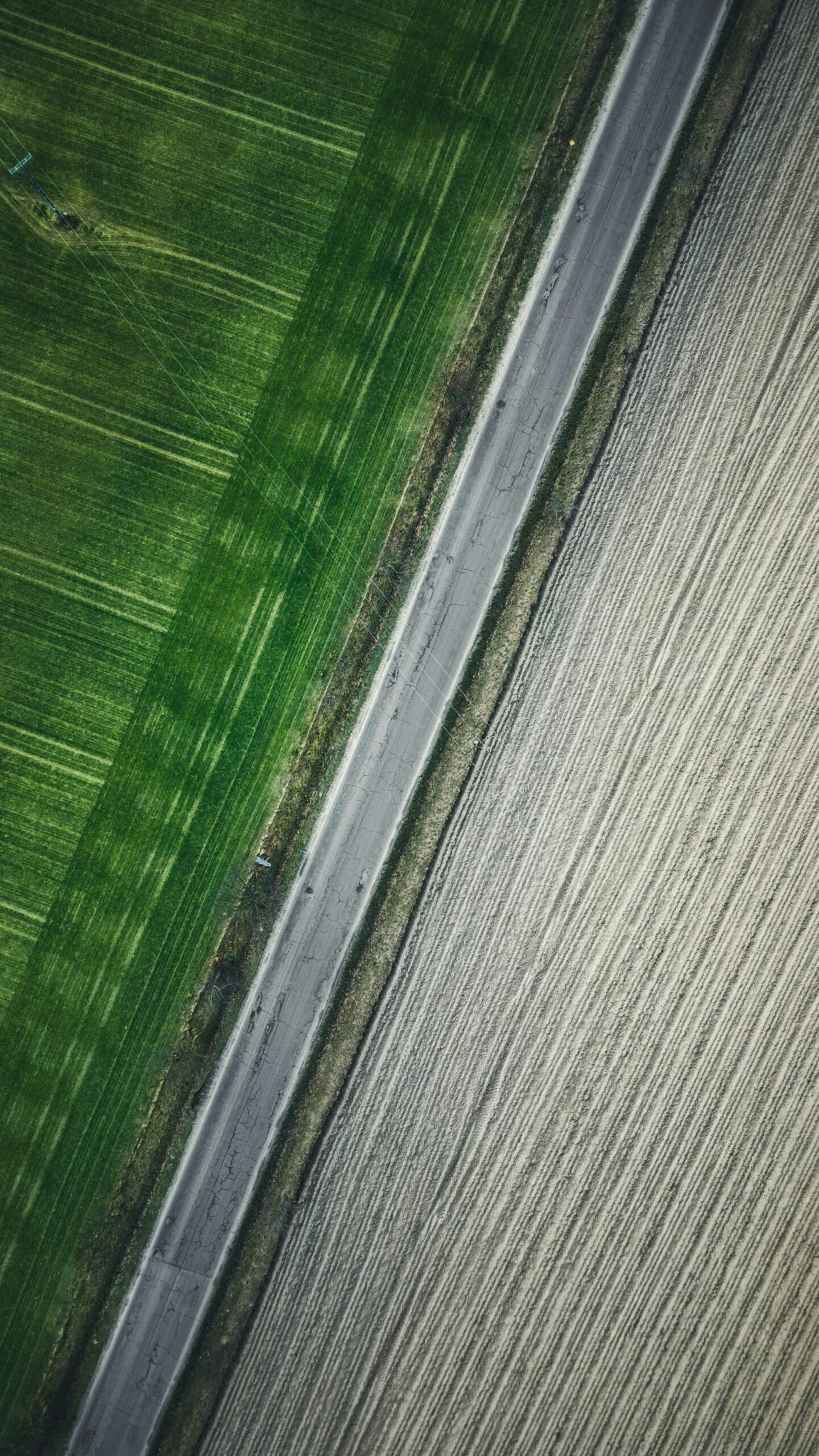 Projects A vertical aerial view showing a rural road separating green and plowed fields.