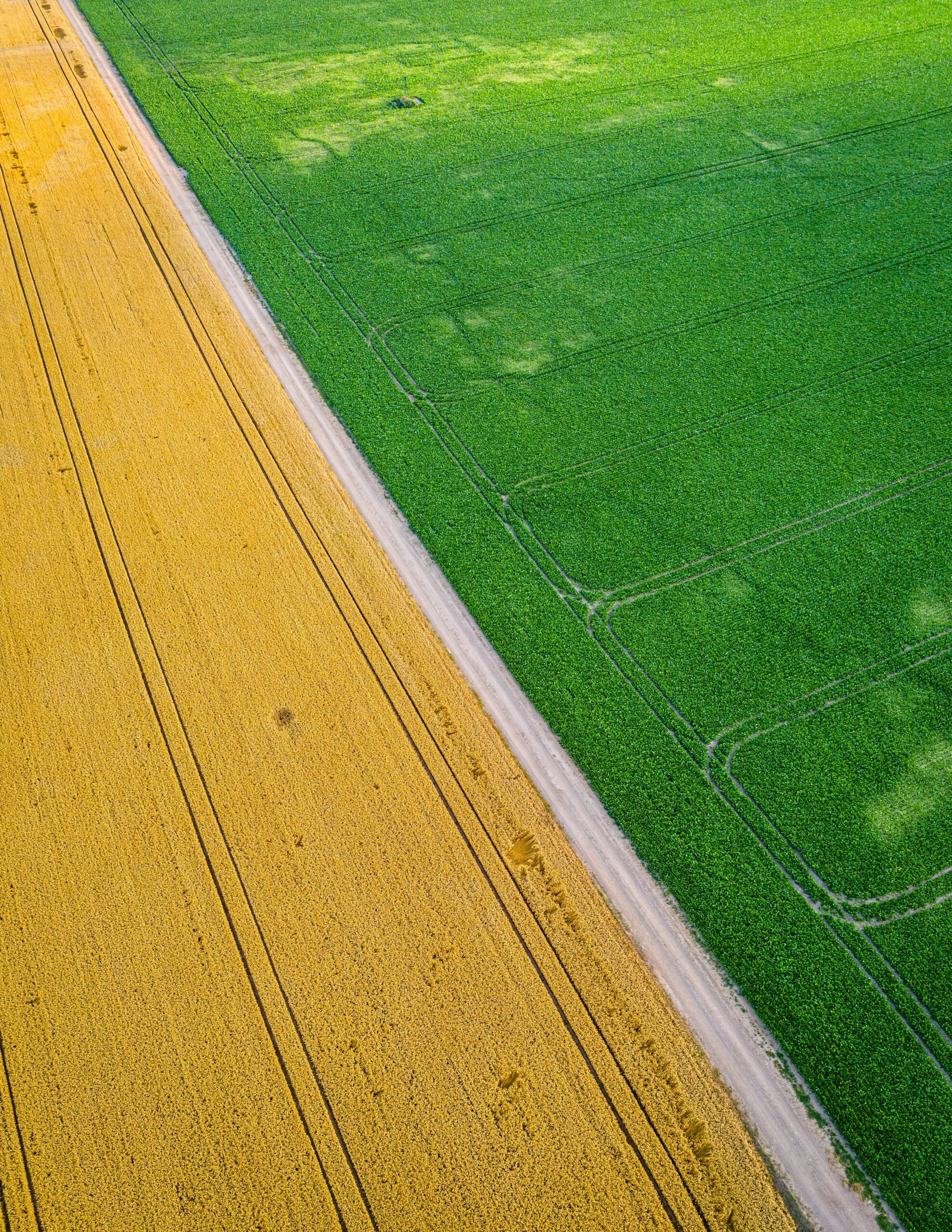 Projects Vibrant aerial view depicting the striking contrast between lush green and golden wheat fields.